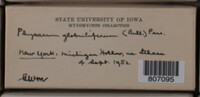 Image Associated With the Occurence